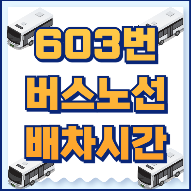 603번버스