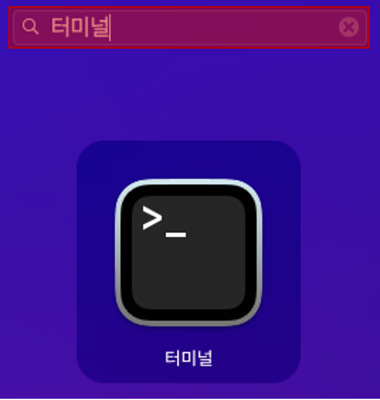 Launchpad 앱에서 터미널 앱 검색