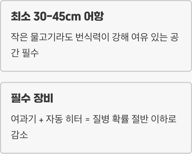 어항 준비&amp;#44; &amp;#39;안정&amp;#39;과 &amp;#39;여유&amp;#39;가 핵심