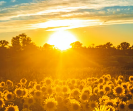 비타민D 부족 증상