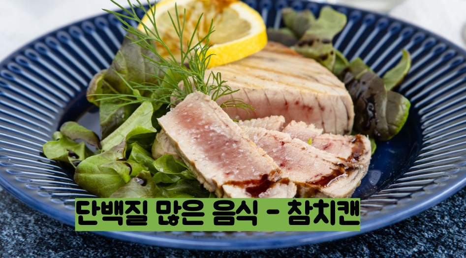 단백질 많은 음식