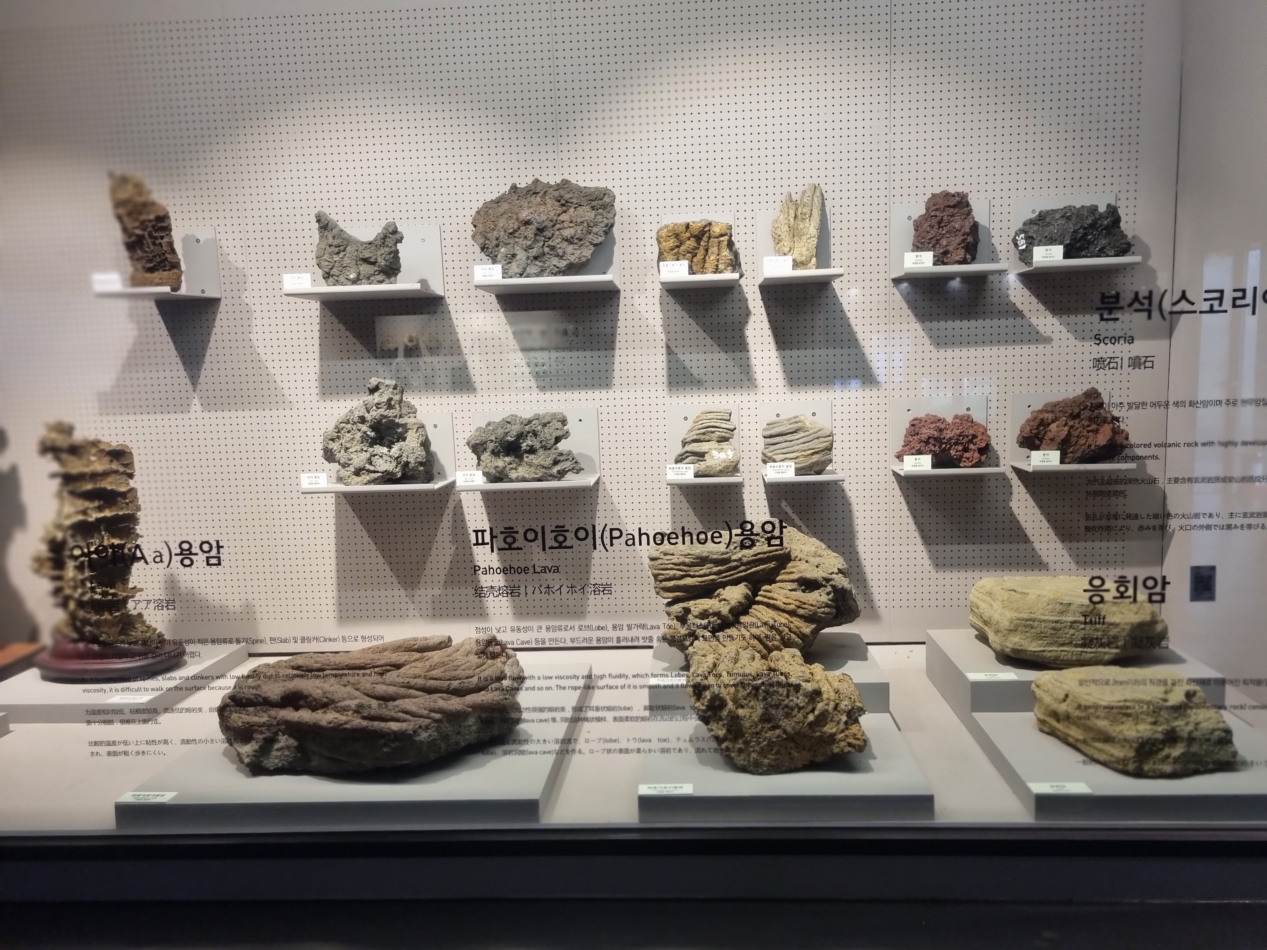 민속자연사박물관