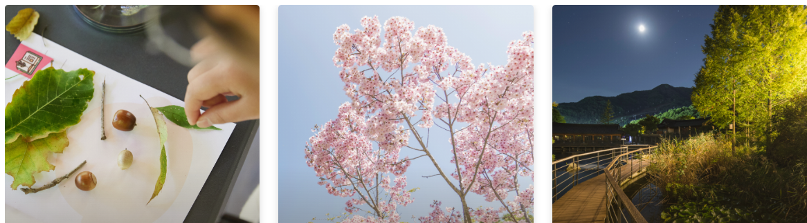 곤지암 화담숲 운영시간 및 입장료 총정리