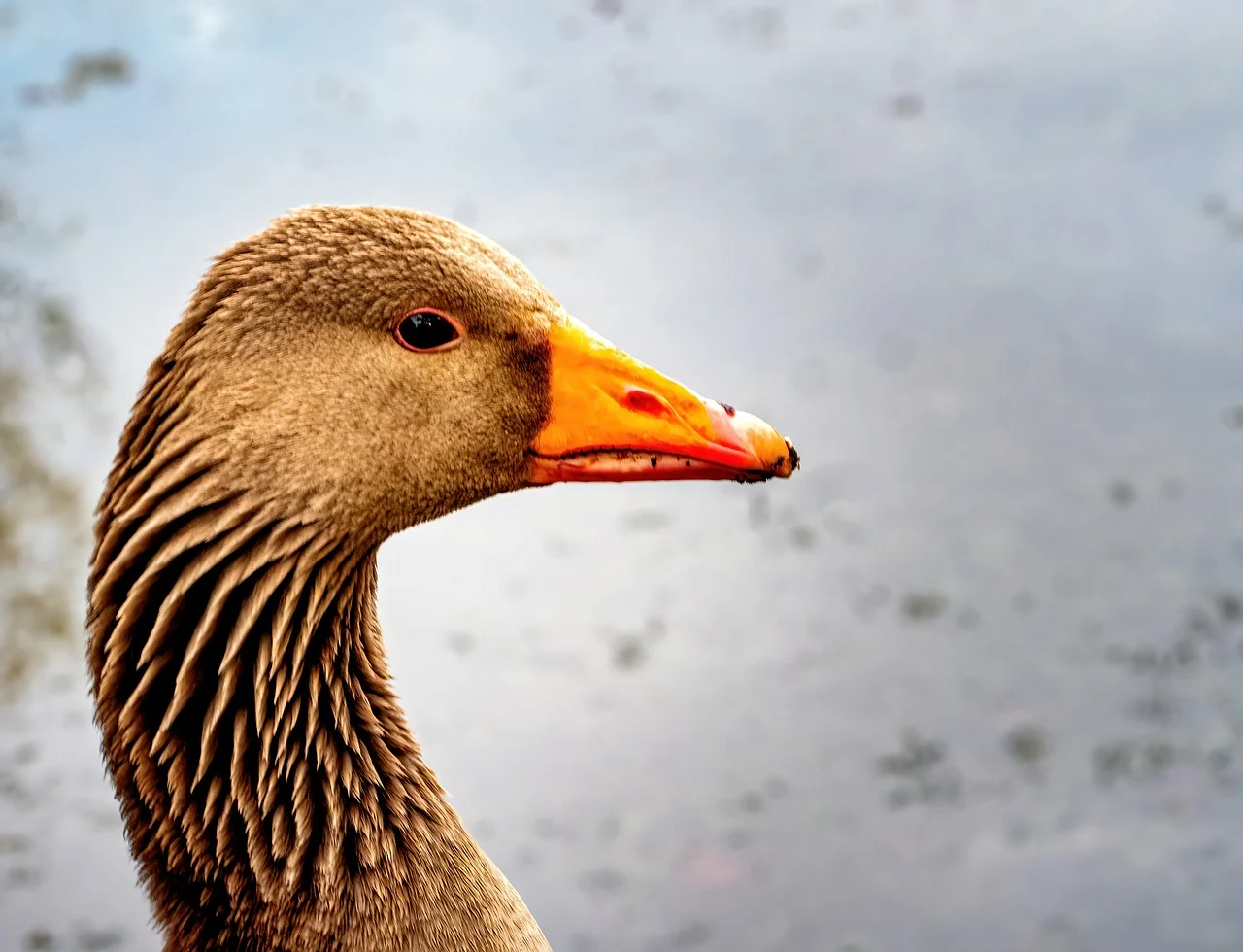 청년내일저축계좌