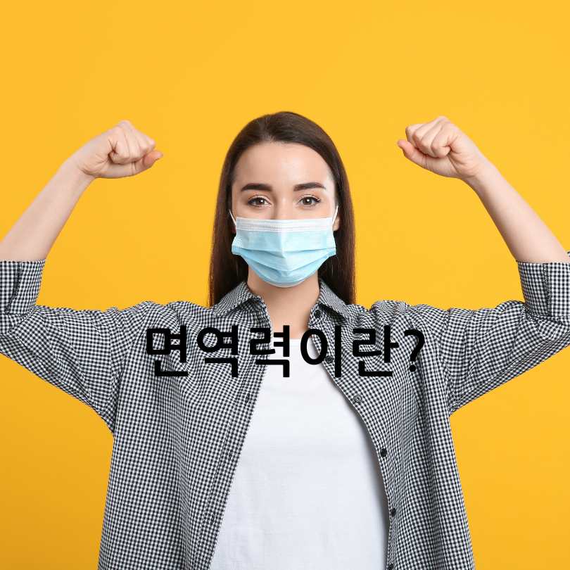 면역력높이는영양제