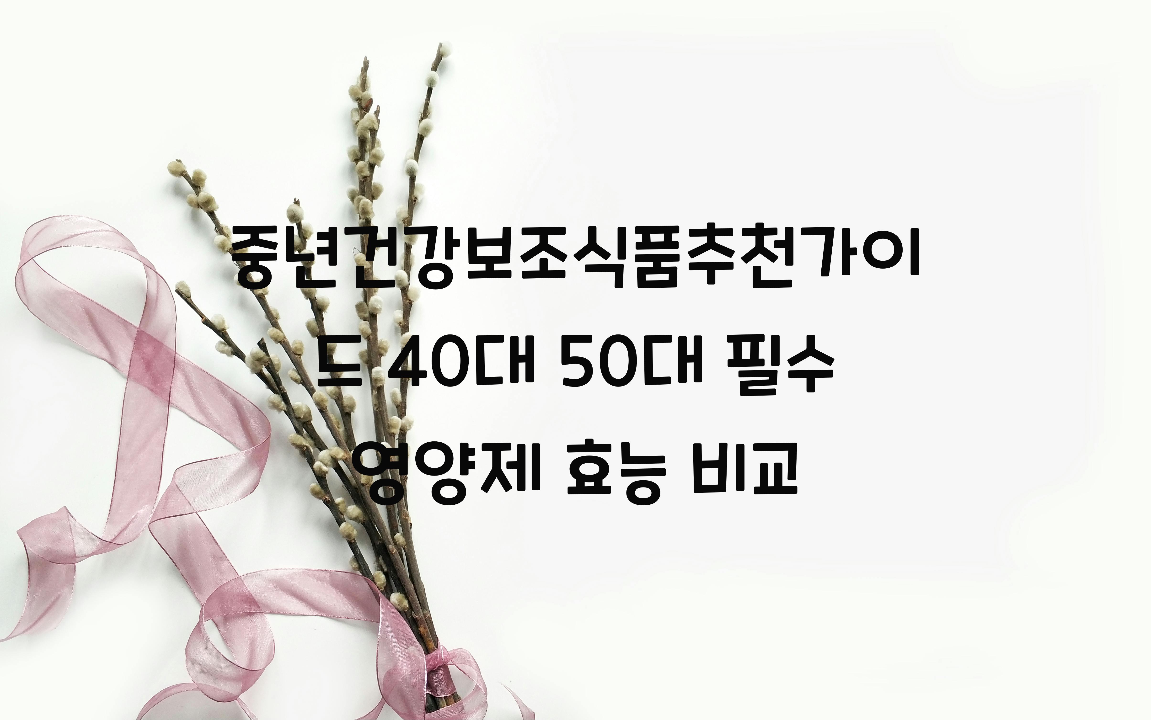 중년건강보조식품추천가이드