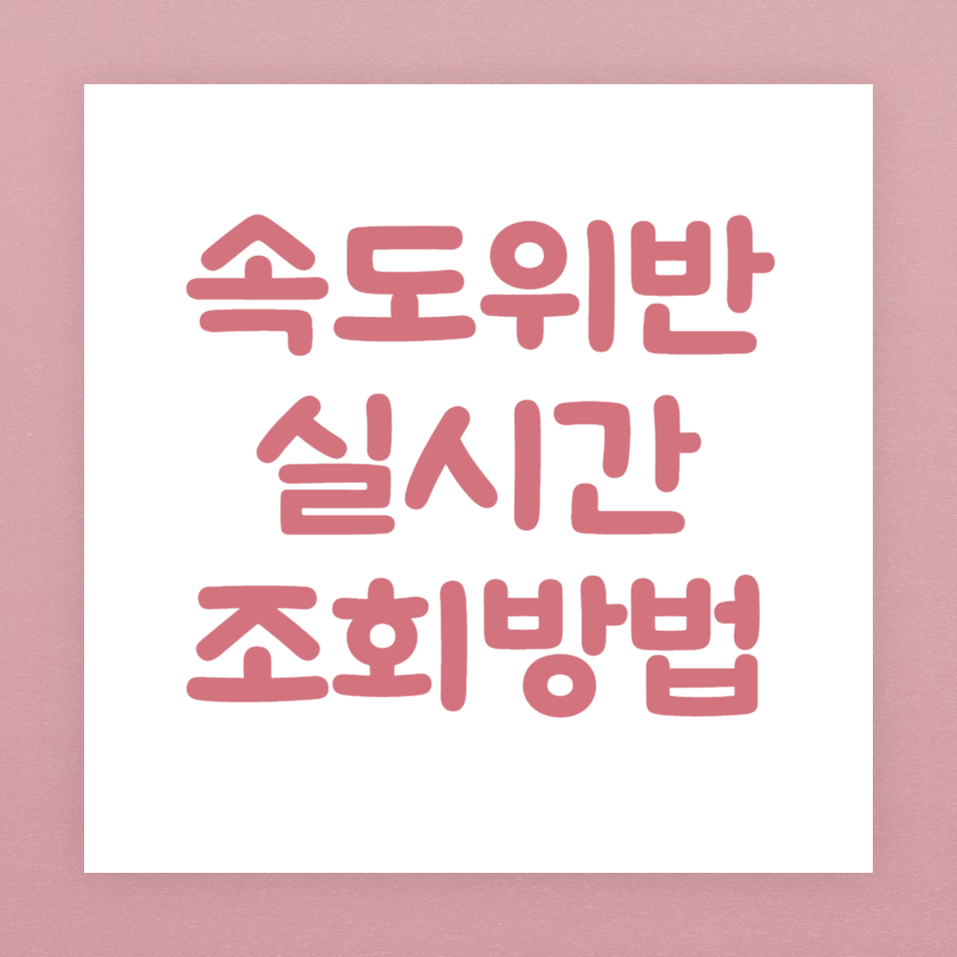 속도위반 실시간 조회방법