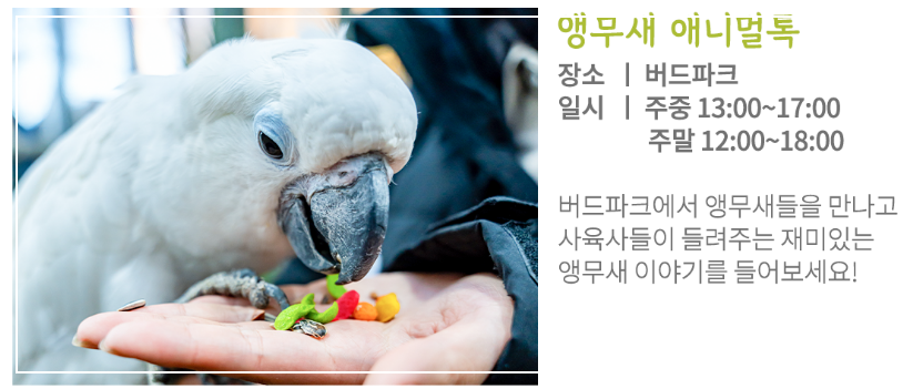 2023년 이월드 블라썸 피크닉 벚꽃 축제 정보 (2023년 벚꽃축제, 지역축제, 3월축제), 83타워, 이월드 벚꽃축제 일정, 추자정보, 요금