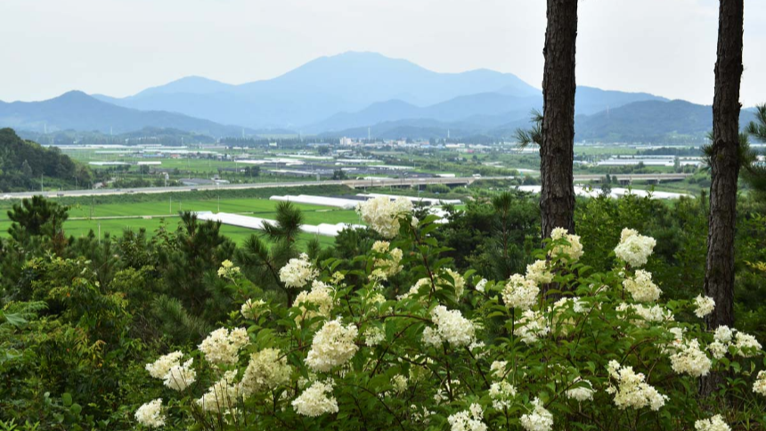 특색있고 아름다운 민간 정원 30선 추천 여행 - 22. 담양 죽화경