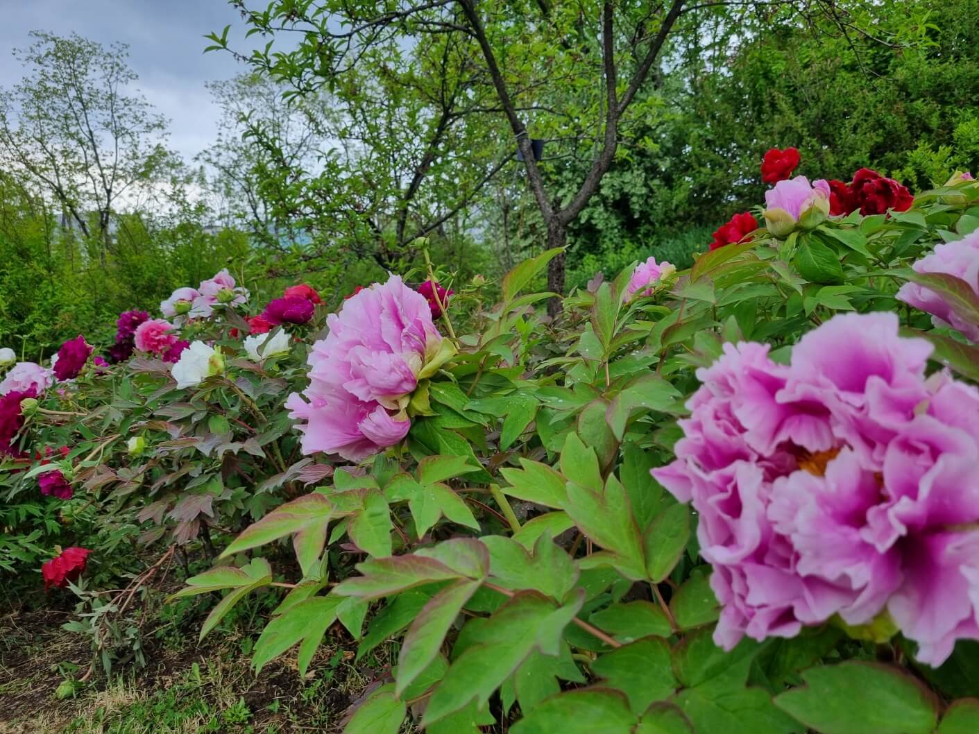 서울식물원 입장료
