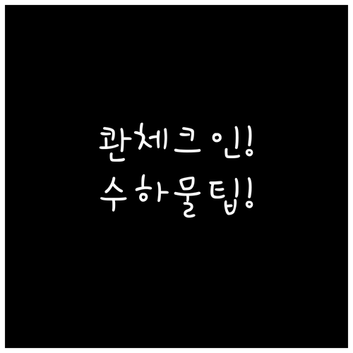 콴타스 온라인 체크인 후 수하물 맡기..