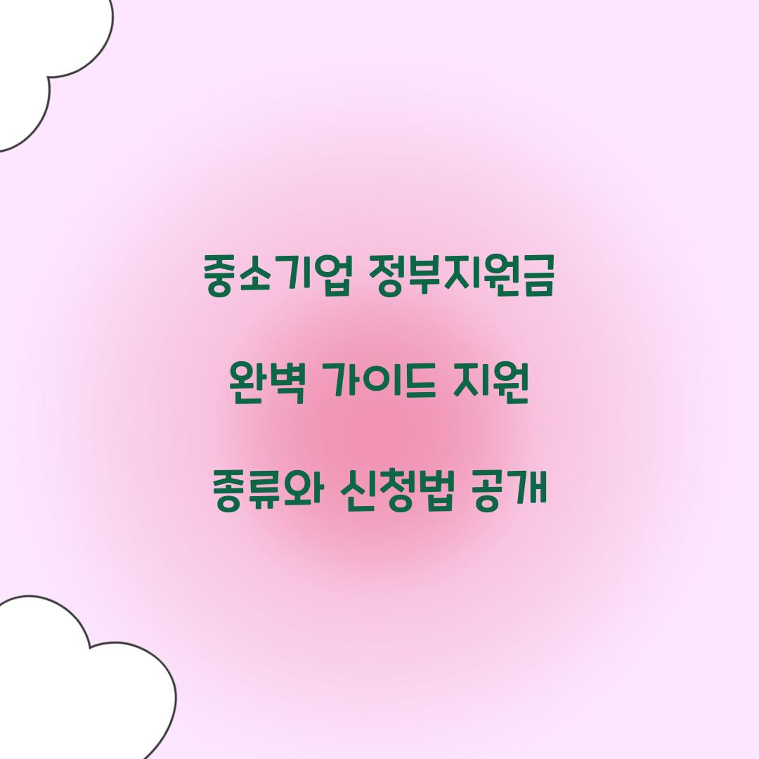 중소기업 정부지원금