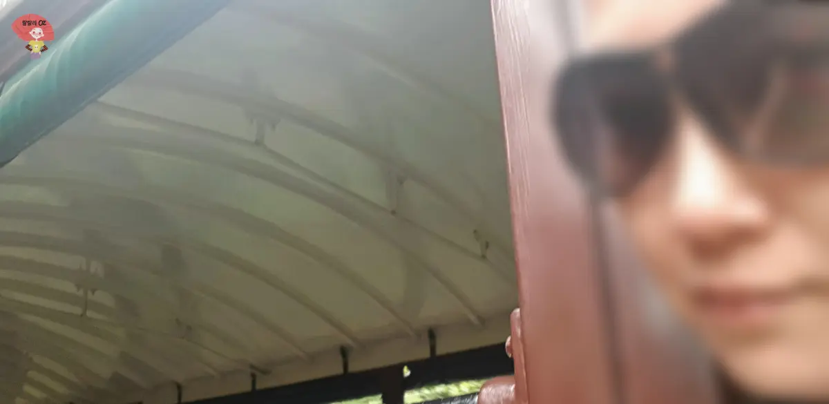 호주-멜버른-단데농-퍼핑-빌리의-창문-없는-개방형-기차안에서-얼굴을-살짝-내밀고-바람을-맞는-여인