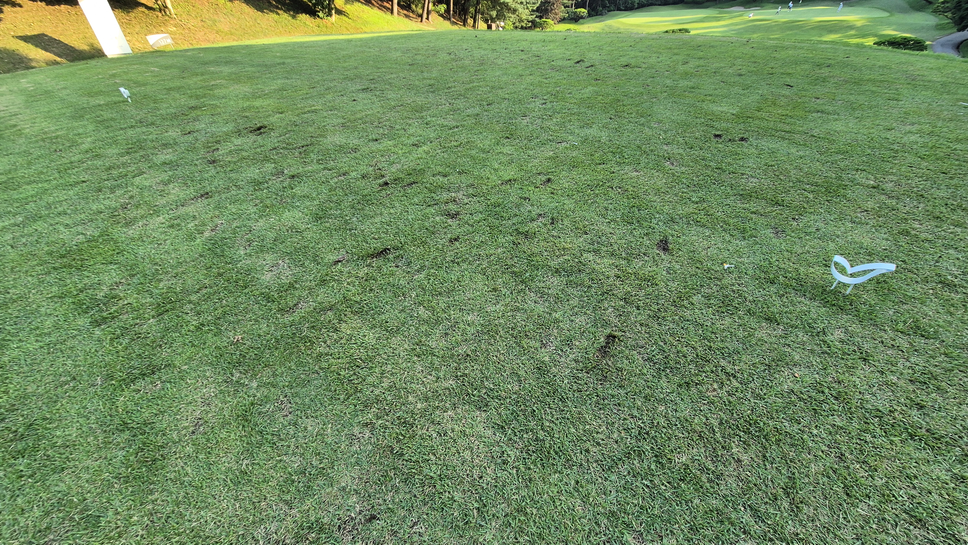 태광cc 북-서 코스 라운드 후기