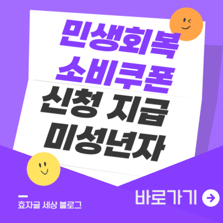 민생회복소비쿠폰미성년자