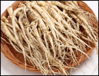 몸에 좋은 도라지들이 바루기네 담겨있는 모습