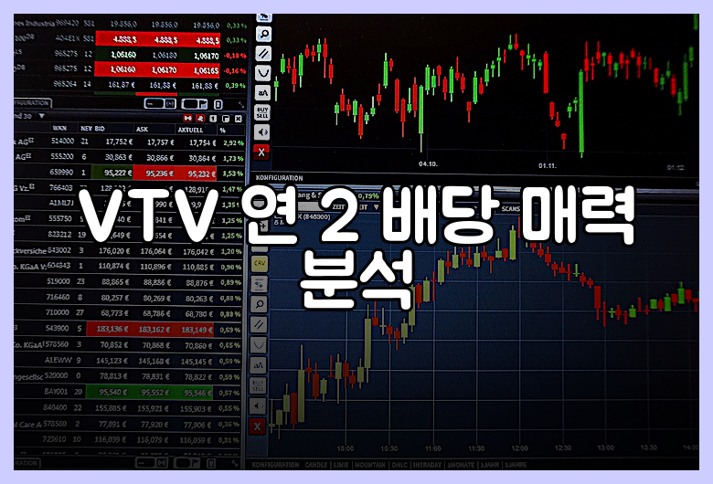 VTV 연 2 배당 매력 분석