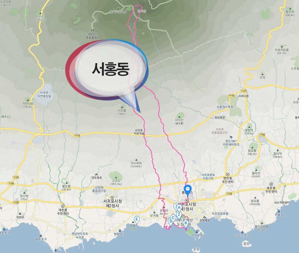 서귀포 서홍동