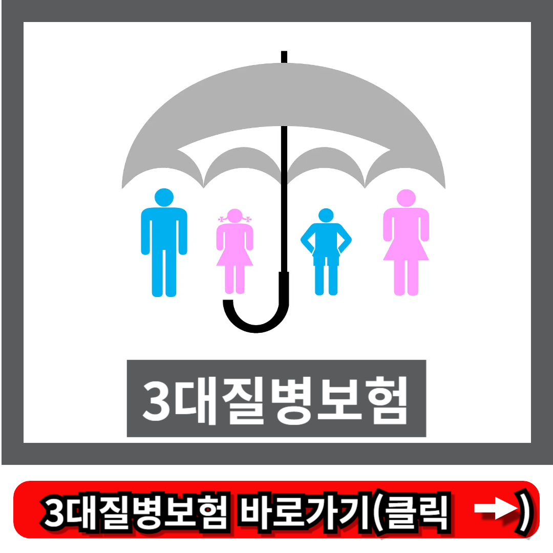 3대질병보험