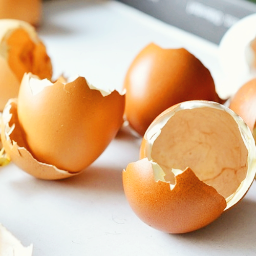 난간막 가수분해