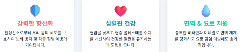 링곤베리 효능이 궁금하세요? 부작용, 섭취법, 항산화, 면역력 완벽 정리!