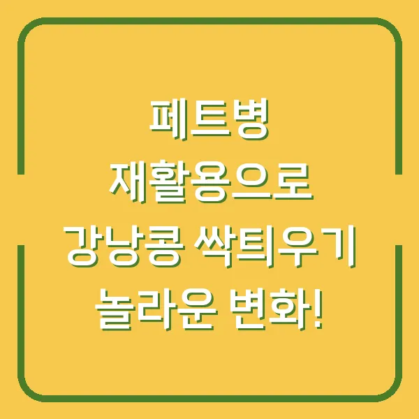 페트병 재활용으로 강낭콩 싹틔우기 놀라운 변화!