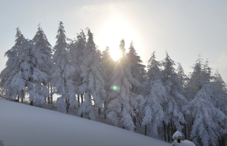 평창 대관령 양떼목장 설경