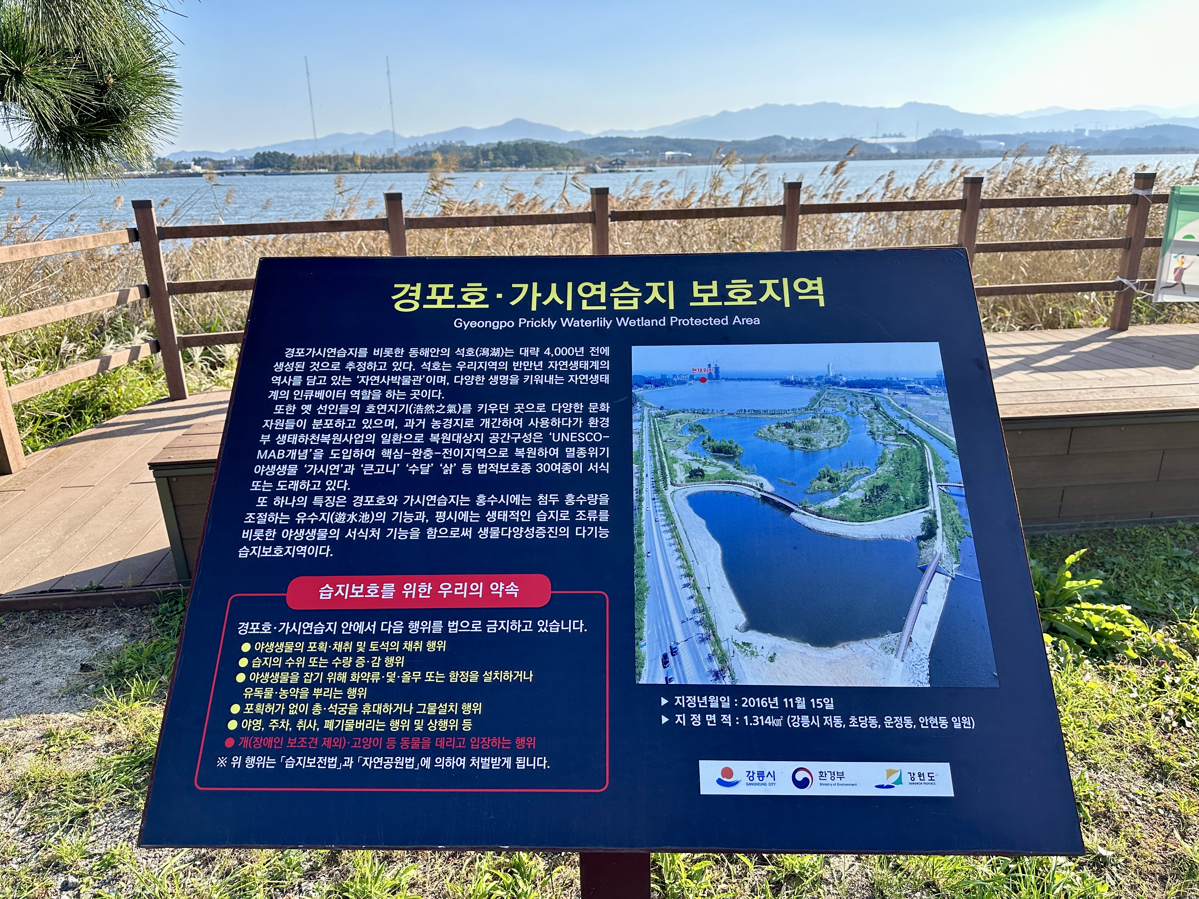 경포호 가시연습지 보호구역