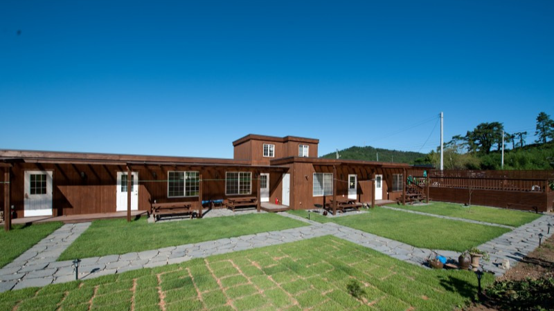 신안 퍼플섬 여행 가이드 - 보랏빛 낭만 속으로!