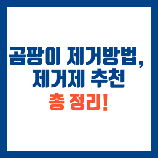 곰팡이 제거방법과 제거제 추천 총정리!
