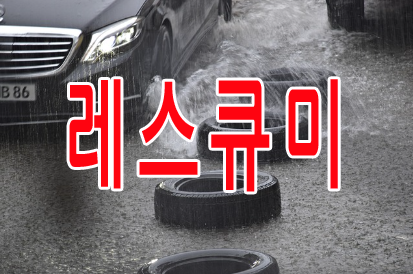 레스큐미