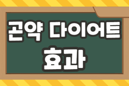 곤약 다이어트 효과