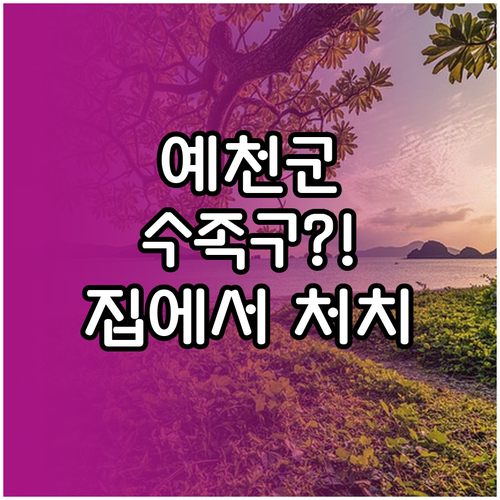 예천군 수족구 부모가 꼭 알아야 할 ..