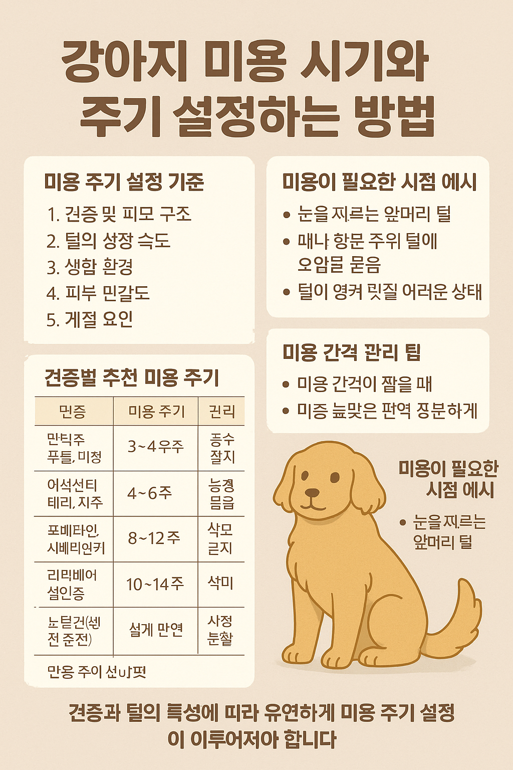 강아지 미용 시기와 주기 설정하는 방법 사진