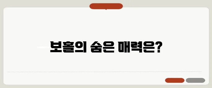 보홀 자유여행 꿀팁 액티비티와 휴양 한 번에 즐기기