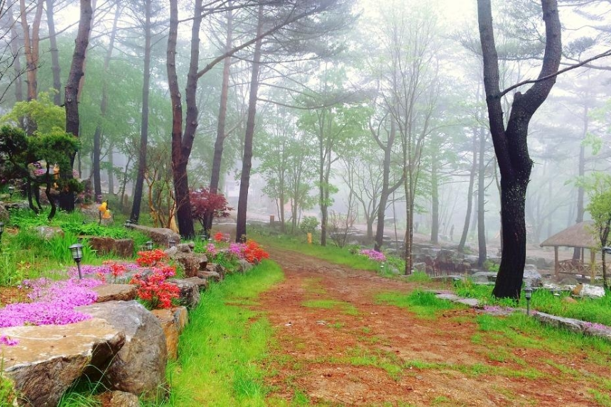 특색 있고 아름다운 민간 정원 30선 추천 여행 - 14. 고성 그레이스 정원