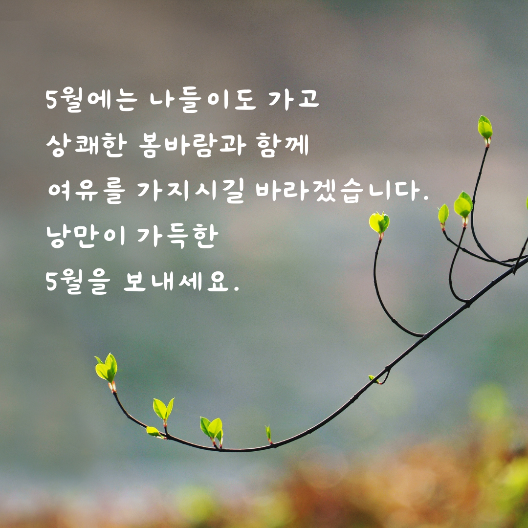 5월 인사말 문구 모음집 이미지