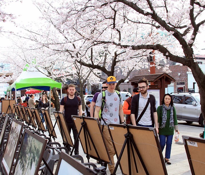진해군항제&#44; 페스티벌 및 주차안내를 정리했습니다. 축제가 생각보다 매우 큰 행사이고 프로그램도 아주 많아요~ 지금 벚꽃이 필 무렵 진해군항제 행사를 하니 더욱 빛을 바랍니다. 주차장과 대중교통 셔틀버스까지 정리했으니 참고하시기 바랍니다.