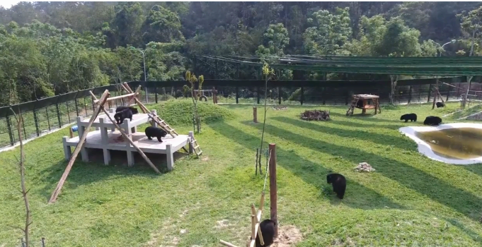 베트남 곰 보호소