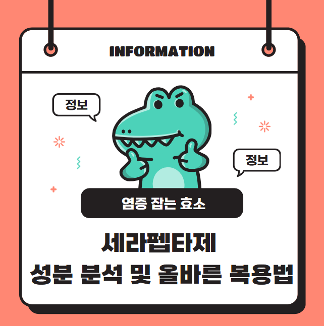 염증 잡는 효소, 세라펩타제 성분 분석 및 올바른 복용법