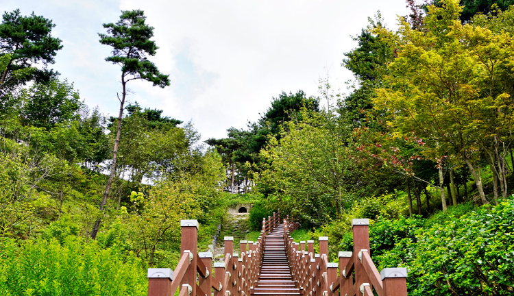 당진 삼선산수목원