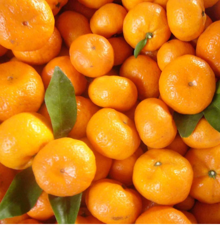 비염에 좋은 음식