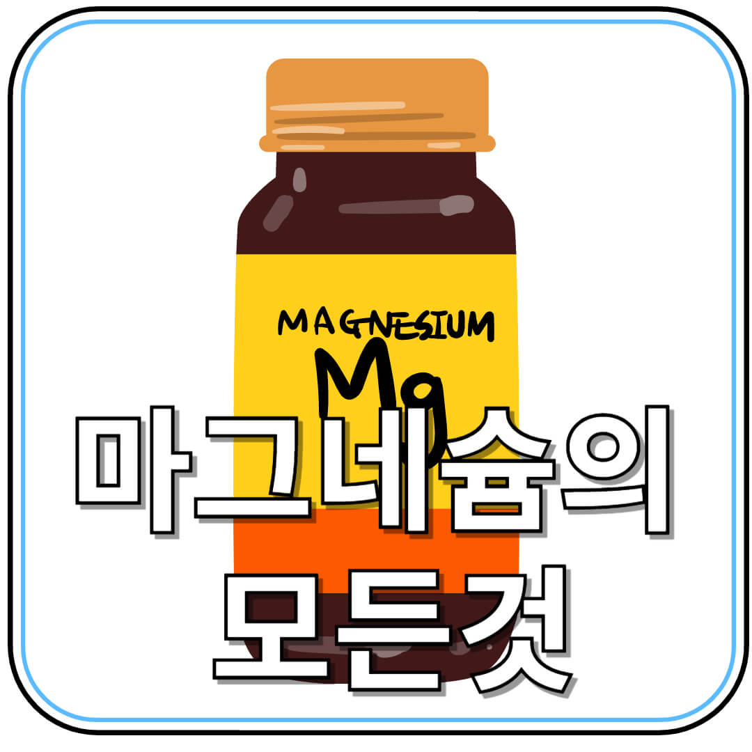 마그네슘의 모든 것! 효능부터 부작용까지 완벽 정리