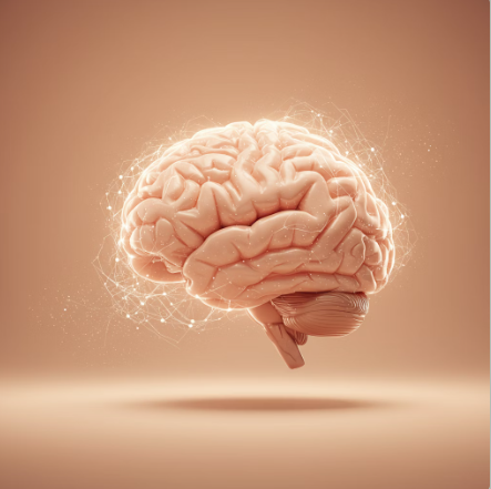 침향환 효능 : 뇌건강 및 인지 기능 개선