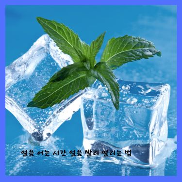 얼음 어는 시간 얼음 빨리 얼리는 법