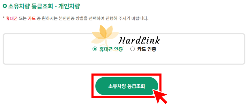소유 차량 등급 조회하기