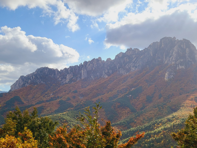 설악산 단풍 절정시기