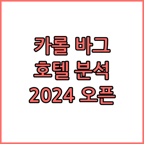 카롤 바그 호텔 완벽 분석 2024년