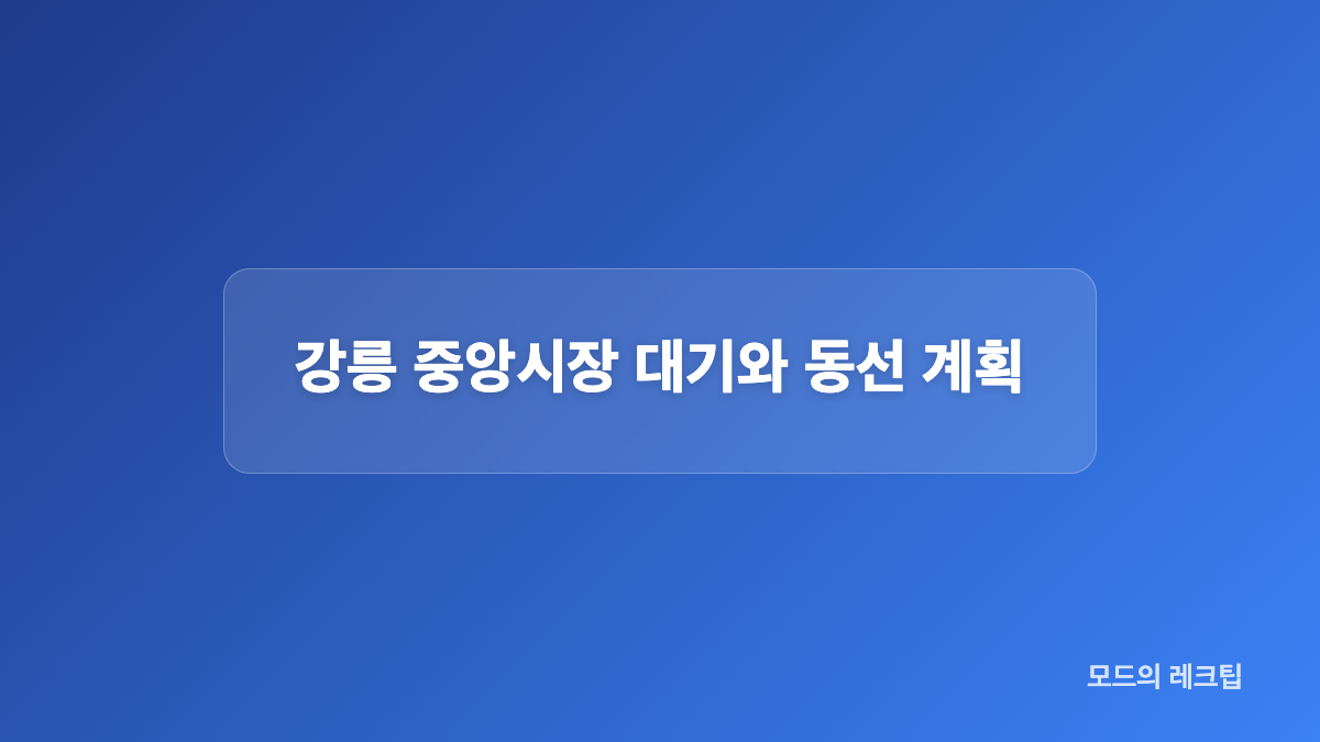 강릉 중앙시장 방문 정보 비교