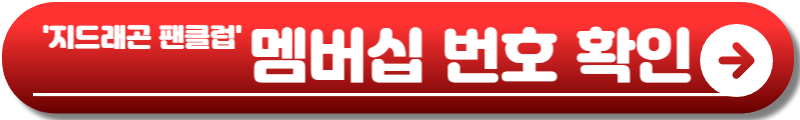 지드래곤 콘서트